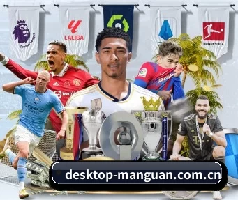 desktop-manguan.com.cn APP